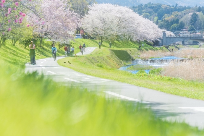 写真:『春光に輝いて』