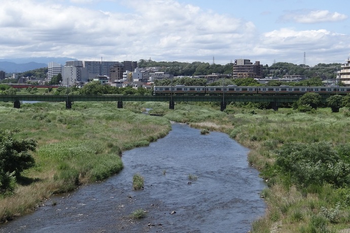 写真:『橋から見た景色』