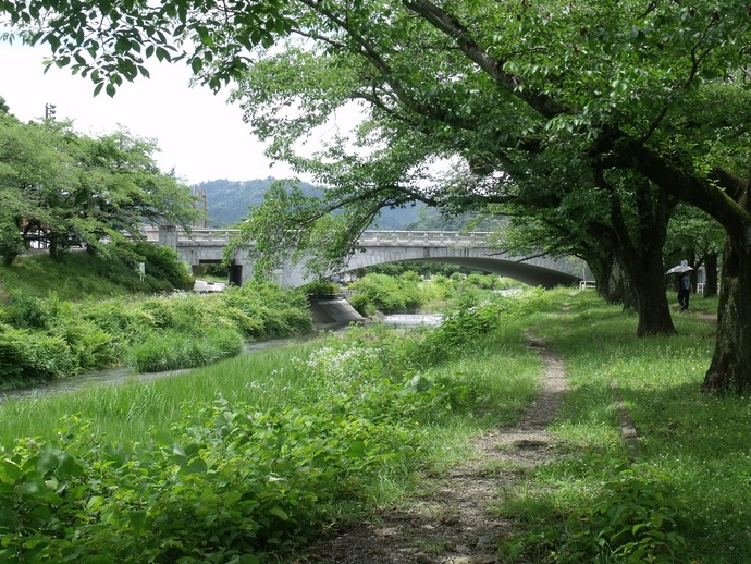 写真:『樹のトンネル散歩道』