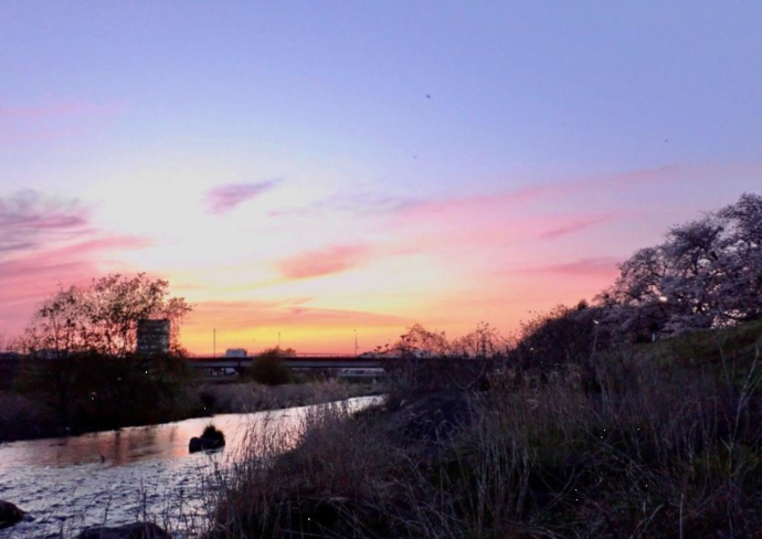 写真:『夕桜、燃ゆる空』