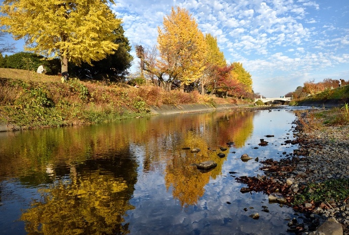 写真:『映り込む秋』