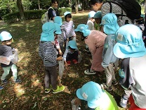 どんぐり拾いをする4歳児の写真