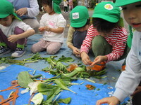 野菜くずを手で細かく切る様子の写真