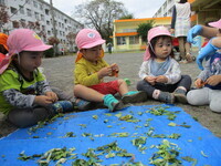 うさぎ組の子ども達もお手伝いの写真