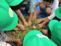 野菜くずが細かくなった写真