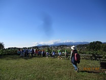 写真：幼児遠足8