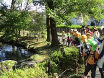 写真：お弁当給食2