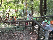 写真：お弁当給食4
