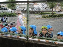 写真：みかん狩り5