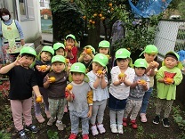 写真：みかん狩り6