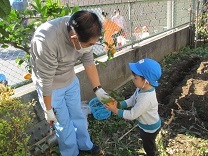 写真：みかん狩り