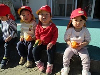 写真：みかん狩り5