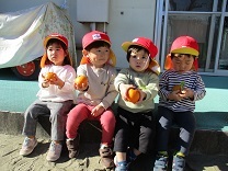 写真：みかん狩り6