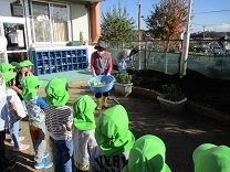 写真：土づくり1