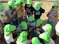 写真：土づくり3