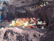 写真：土づくり5