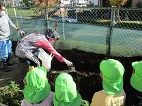 写真：土づくり6