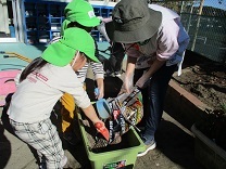 写真：球根植え2