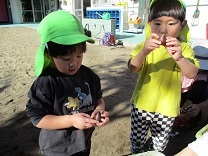 写真：球根植え4