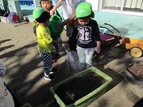 写真：球根植え6