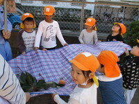 シートに柿が落ちてくる様子の写真