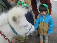 ダンディの餌をあげている様子の写真