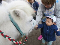 1歳児が餌をあげている様子の写真