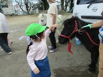 4歳児リトルホースふれあいの様子の写真