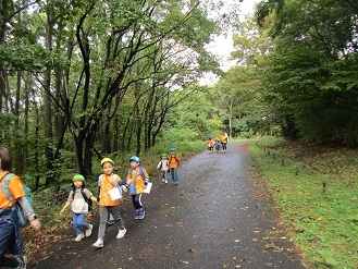 4,5歳児遠足で歩いている様子の写真