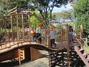 3歳児アスレチックで遊ぶ様子の写真