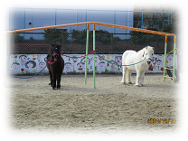 ジャックとダンディーがうんていに繋がれている様子