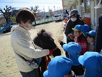写真：リトルホース11