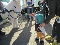 写真：リトルホース2