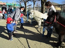 写真：リトルホース3