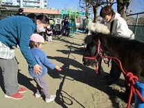 写真：リトルホース4