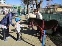 写真：リトルホース5