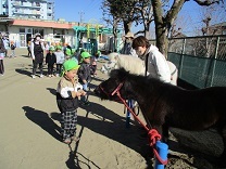 写真：リトルホース6