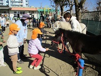 写真：リトルホース7