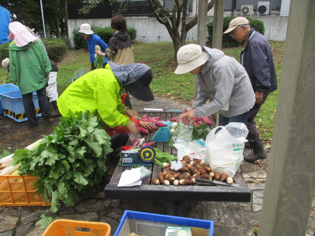 野菜を袋詰めしている写真