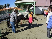 餌をあげている写真
