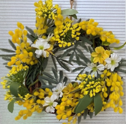 ミモザの花の写真