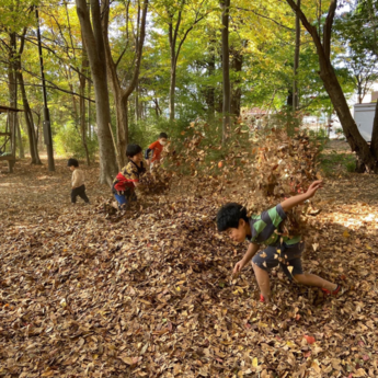 子どもへのまなざし落ち葉遊びの様子