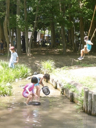 子どもへのまなざし水遊びの様子