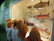 写真：お別れ遠足6