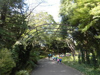 写真:公園内の様子