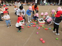 写真:ボール拾いの様子