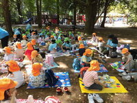 写真:お弁当の様子