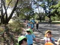 写真:歩いている様子