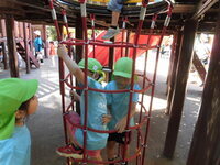 写真:遊具で遊ぶ様子