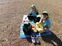 写真:お弁当を食べている様子